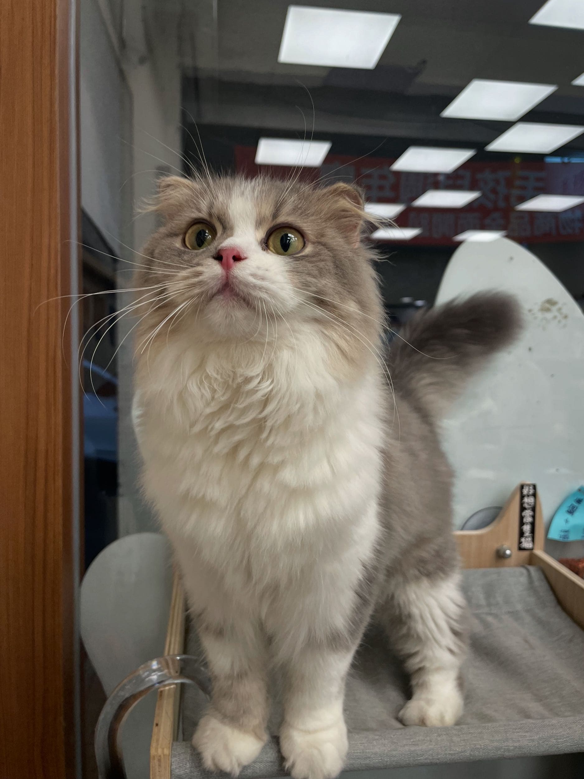 #招租 #基隆 #求租 基隆！七堵～ - Image 4