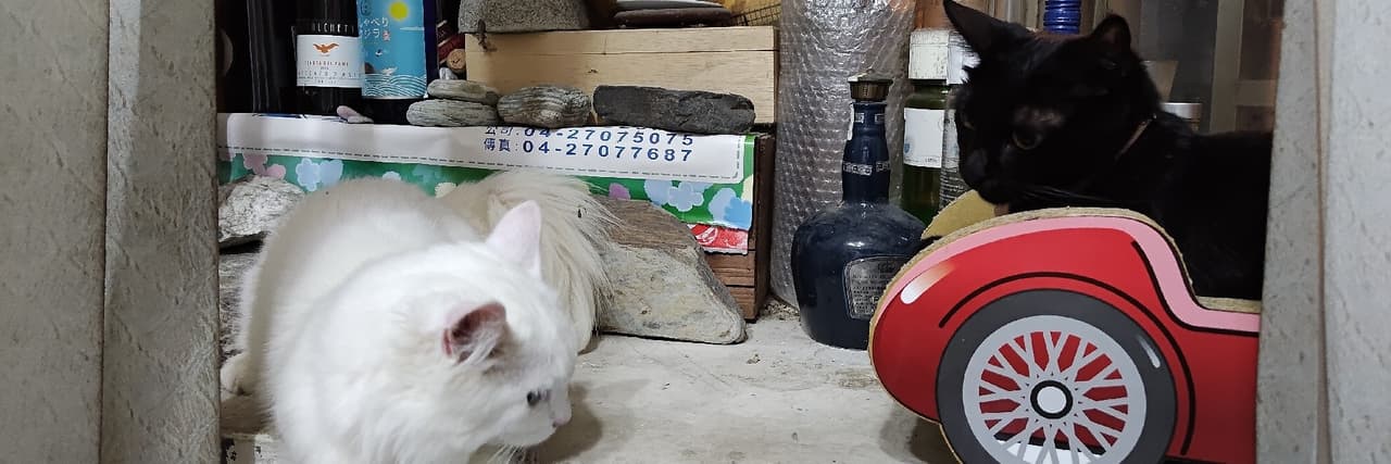 馬內·狗·悠祈