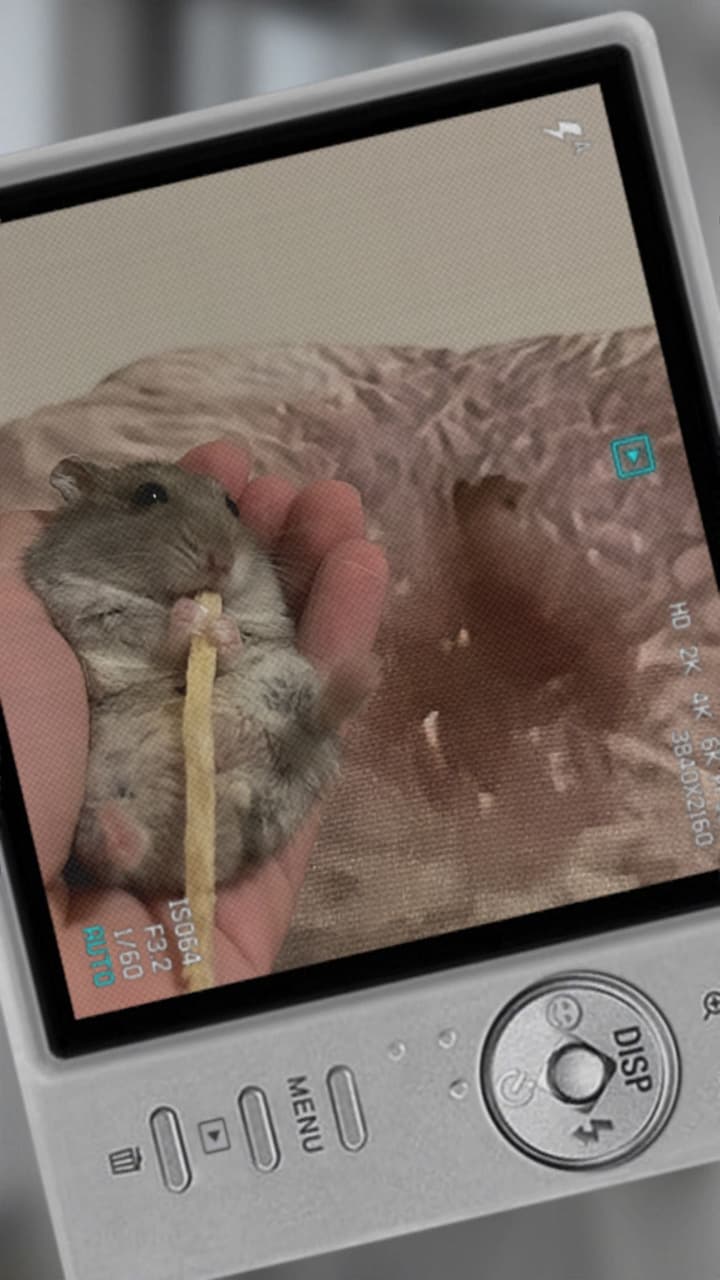 megapx