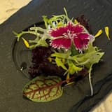 リナデス