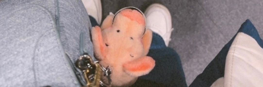 𝐂𝐇