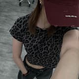 蔡蔡