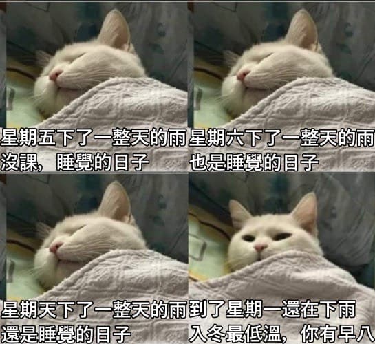 這波鋒面+冷氣團🥶真是謝囉 - 梗圖板 | Dcard
