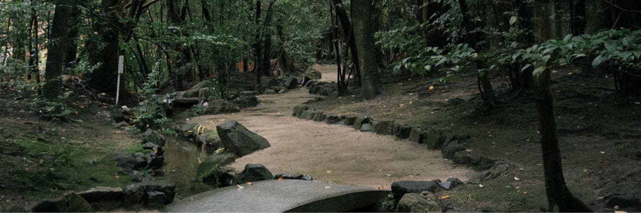 朵朵白