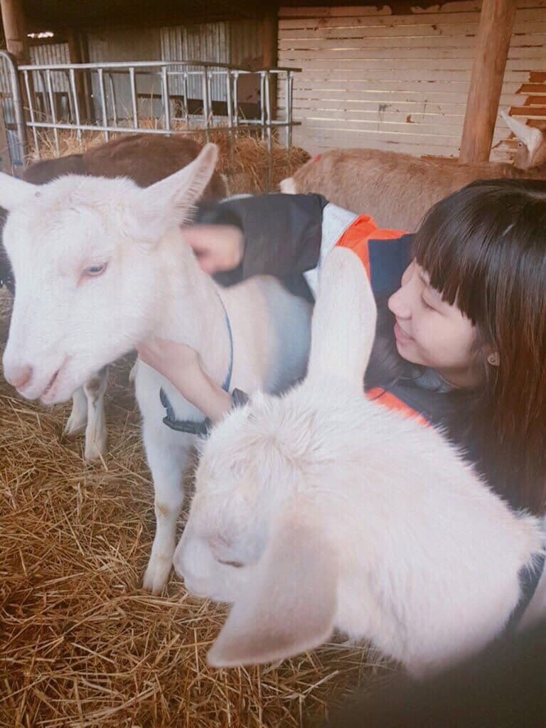 megapx