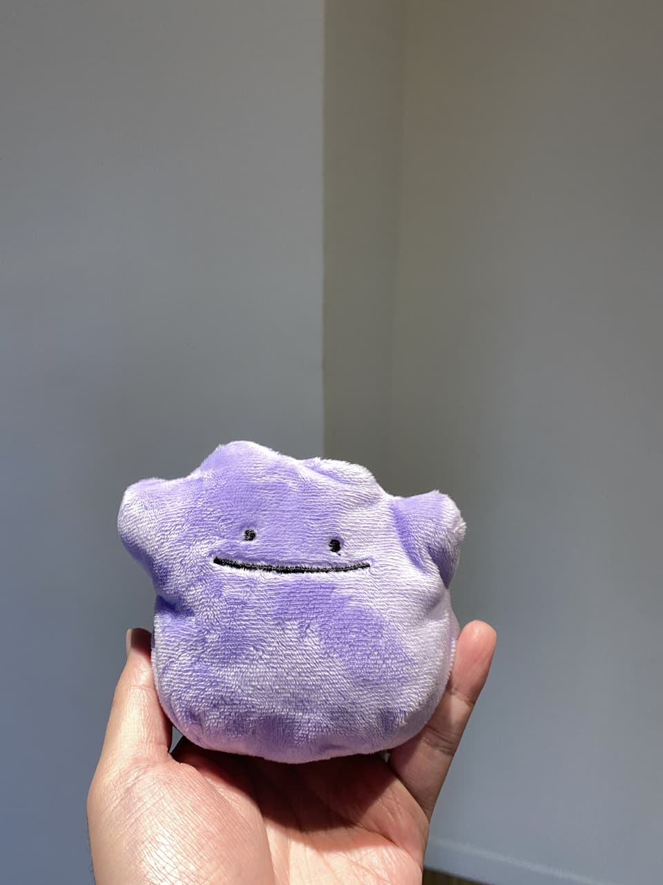 #分享 月底沒錢不要看 寶可夢戰利品 PTCG初體驗👍 - 寶可夢板 | Dcard