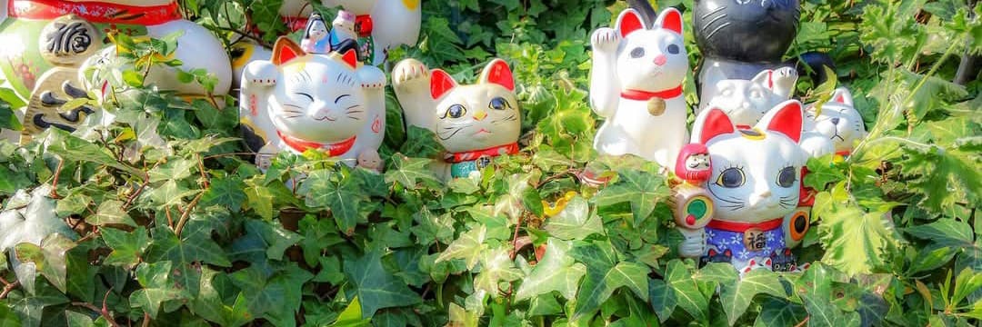 麥斯威爾咖啡