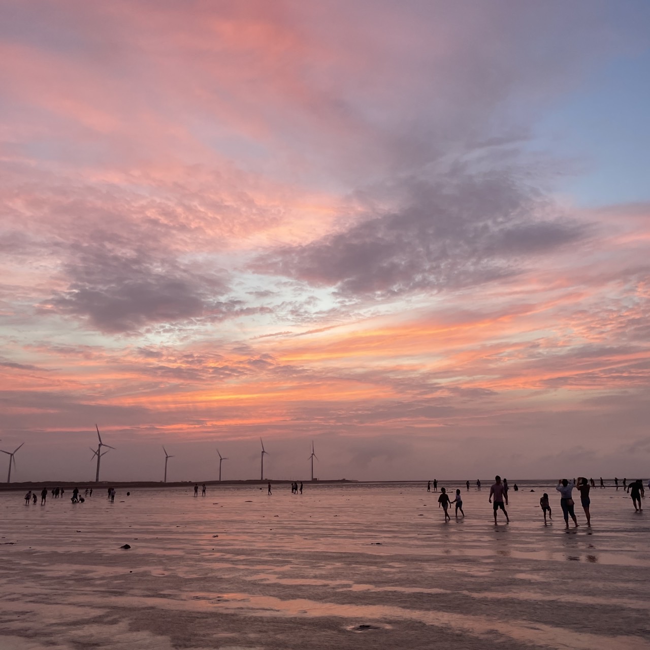 國內遊記 高美濕地半日遊～
