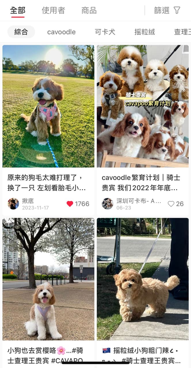 #問 混種貴賓 可卡布 犬舍推薦 - 寵物板 | Dcard