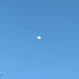 t11281205venus