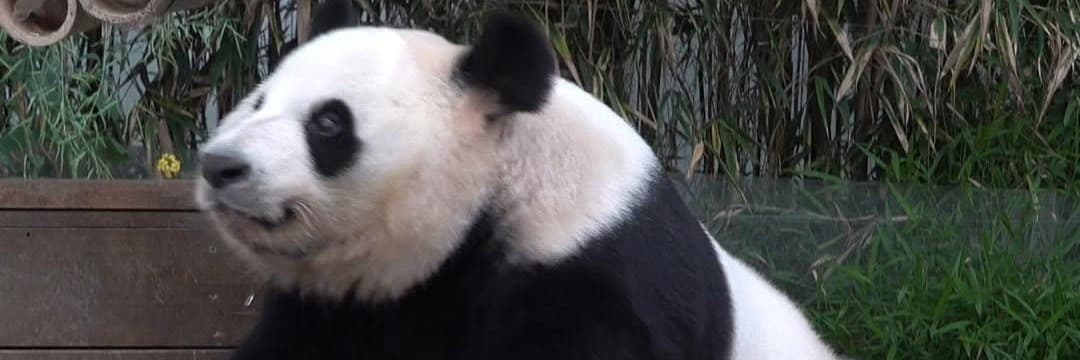 舒-生命靈數