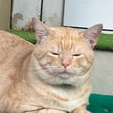 卡卡看世界