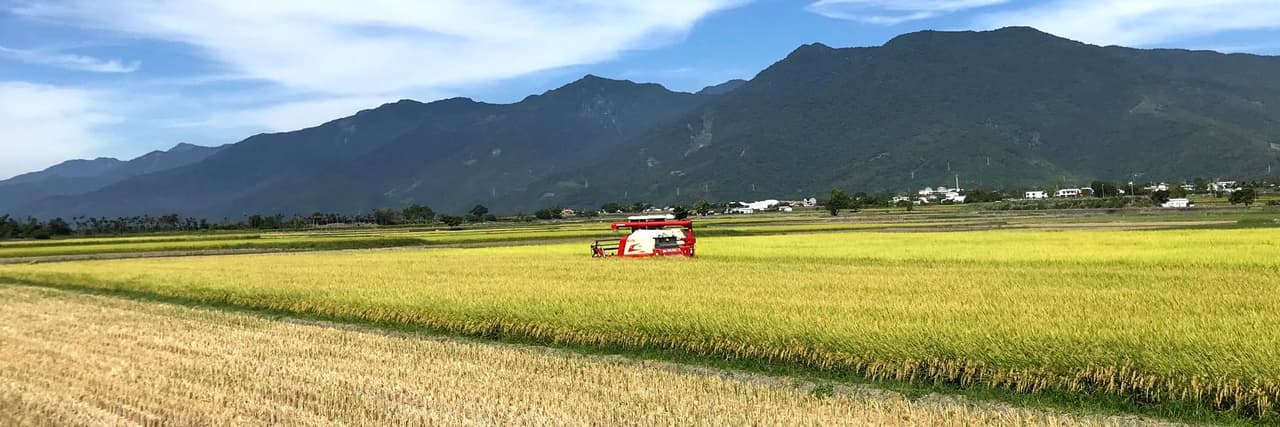 好漾先生