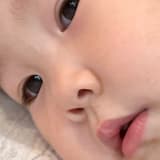 查莉