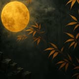 來自月亮的輝夜