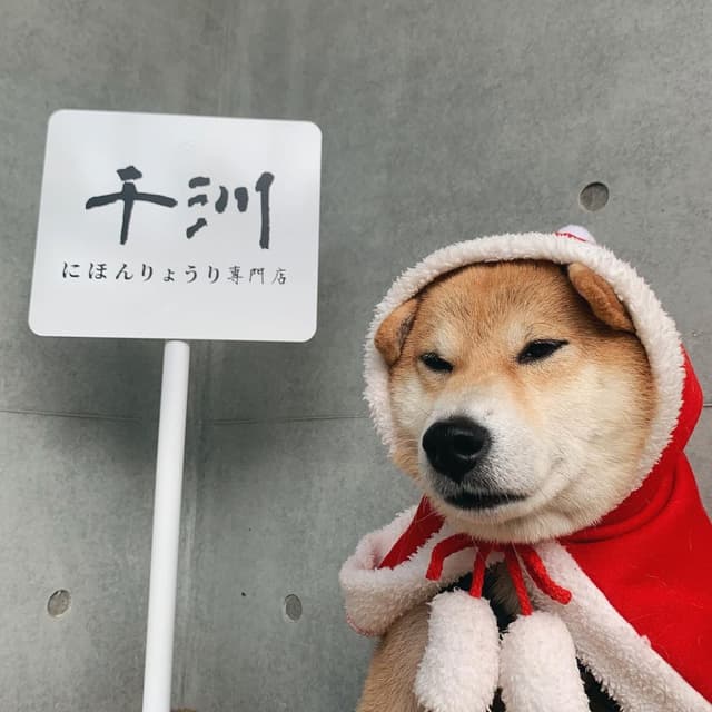 megapx