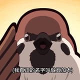 半夜不睡覺
