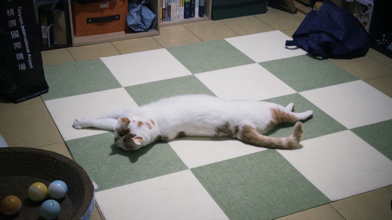 megapx