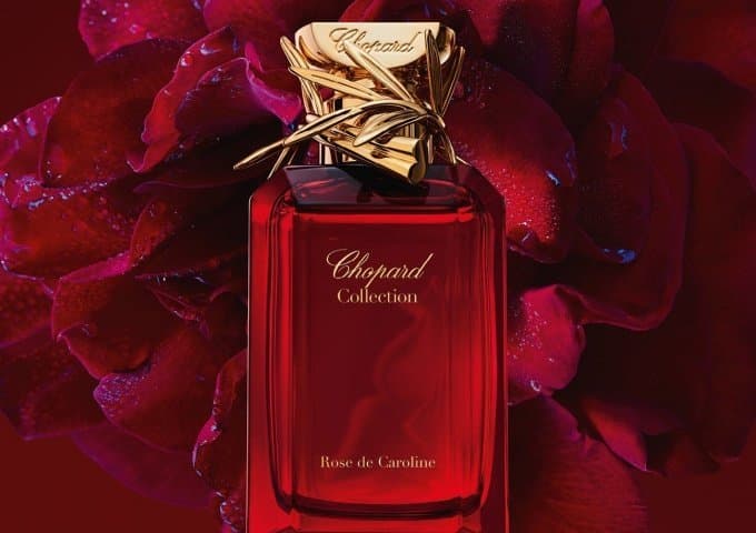 4 Chopard ROSE DE CAROLINE Dcard