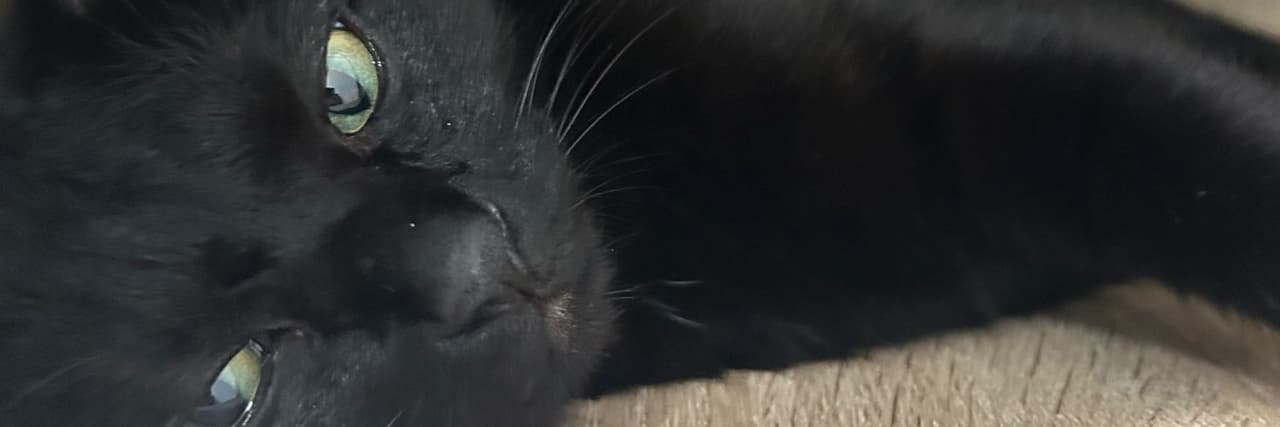 甜食愛好者