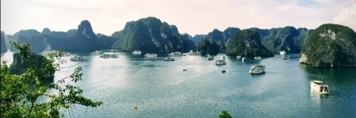 長睫毛企鵝