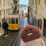 funghikun