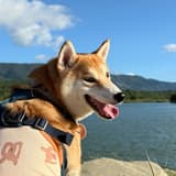 海邊的蕭波塊