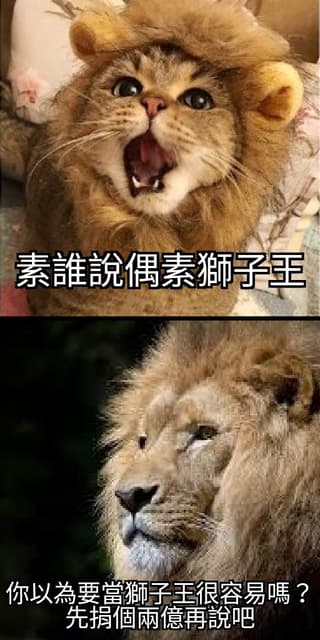 假的 - 梗圖板 | Dcard