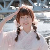 冬青