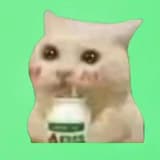 想追太陽的奶貓