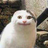 灰藍色