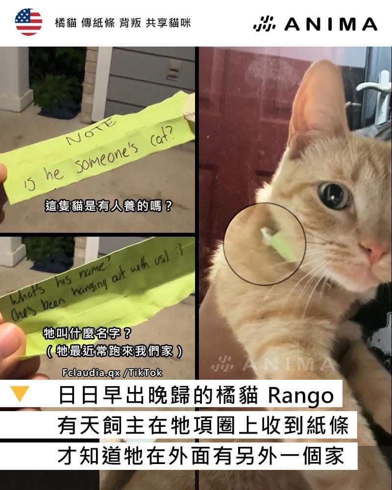 貓咪的日與夜共享貓貓- 閒聊板| Dcard