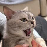 leonrrrr