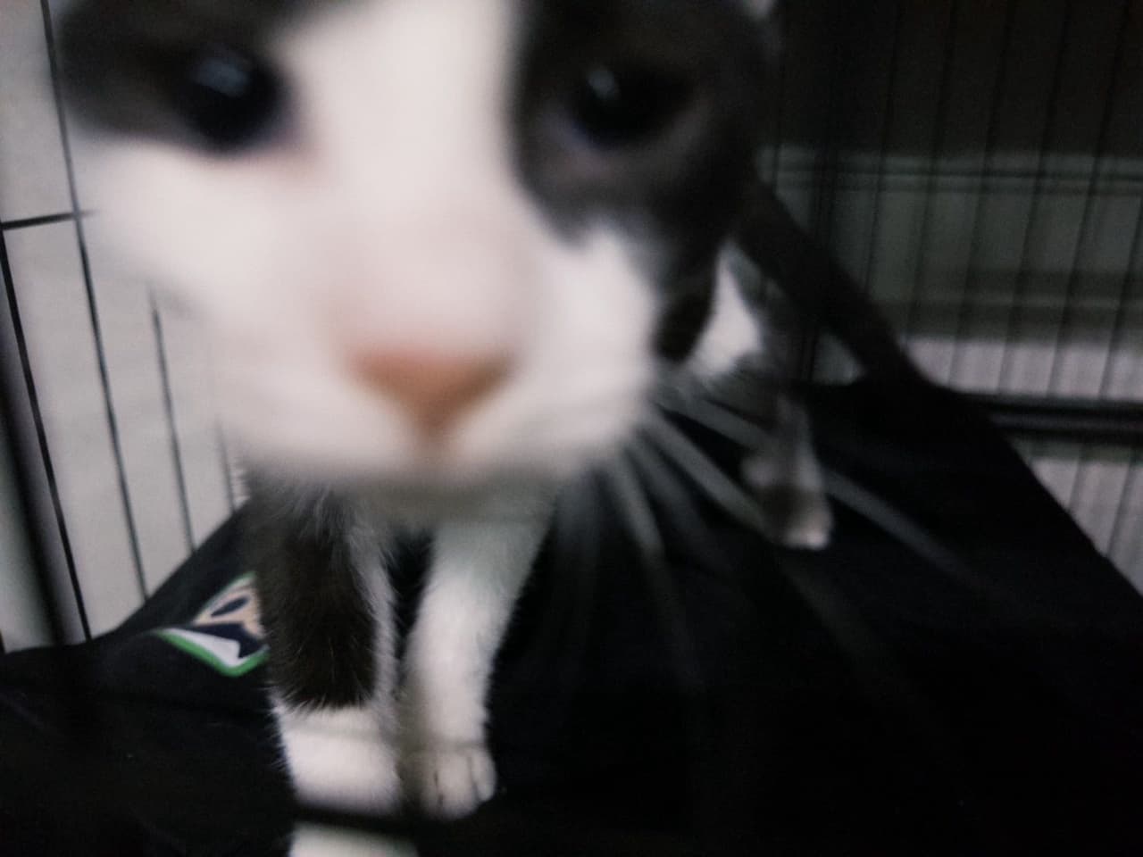 megapx