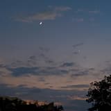 Starlit night