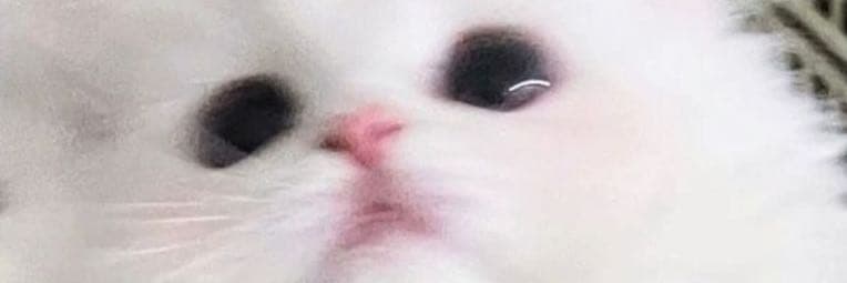小天鵝