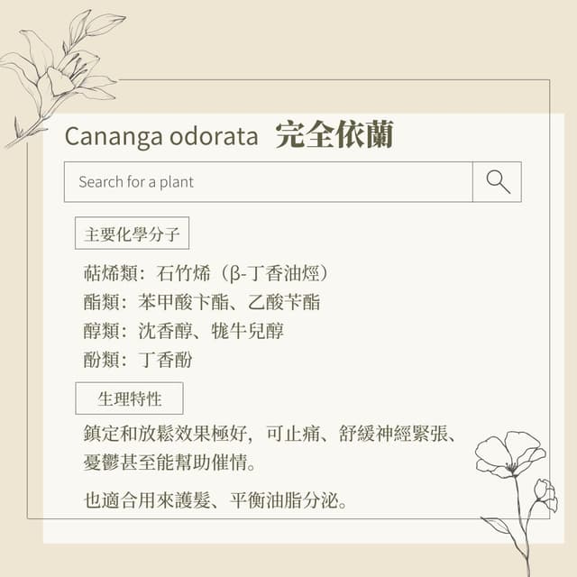 #精油 精品香水的氣味主角——依蘭依蘭精油介紹 - 芳療板 | Dcard