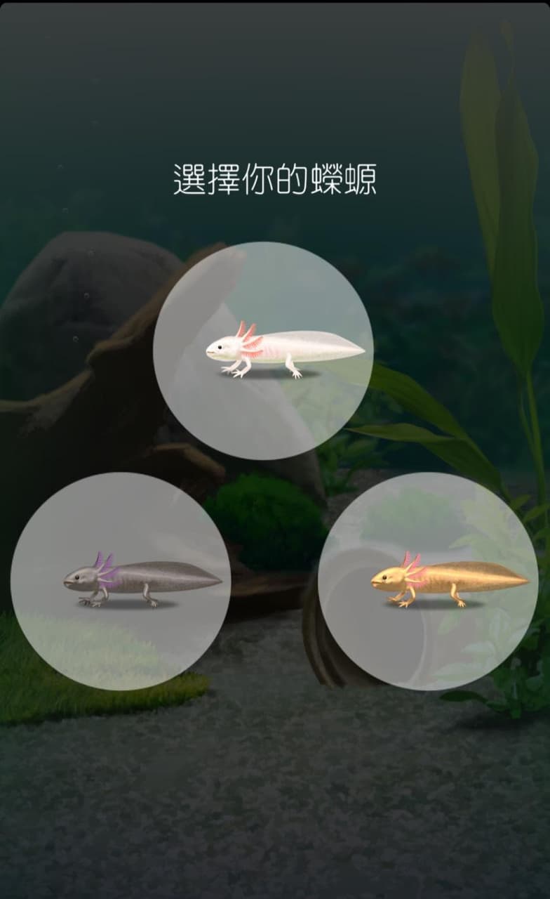 養蠑螈遊戲也要極簡 - 遊戲板 | Dcard