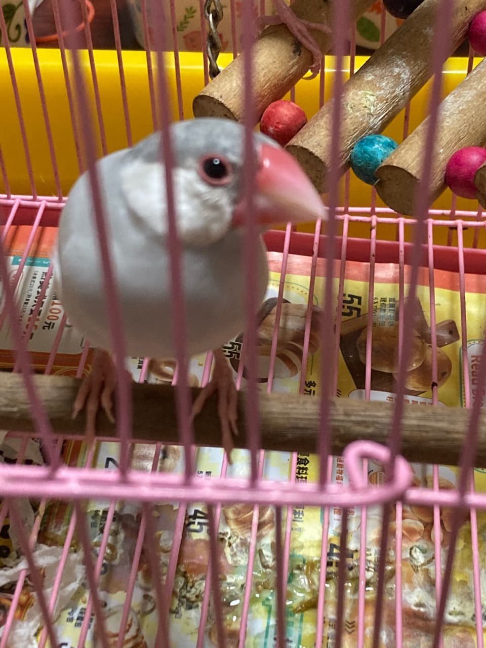 megapx