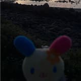 YUN