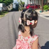 六六媽
