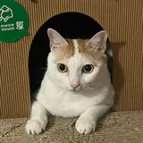 qoo1212