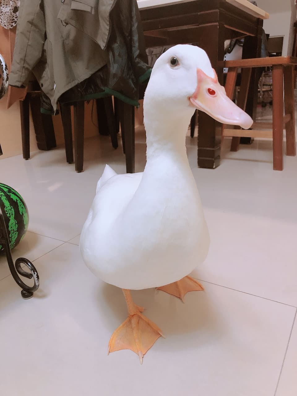 megapx