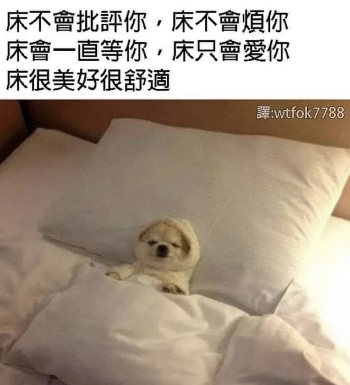 想你，亲爱的床。 - 斗图大会 - 蘑菇头、床表情库 - 真正的斗图网站 - dou.yuanmazg.com