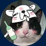 有隻貓叫伊布