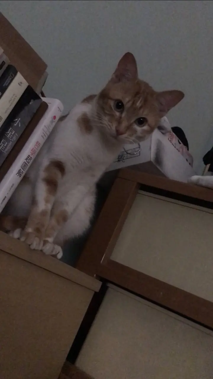 megapx