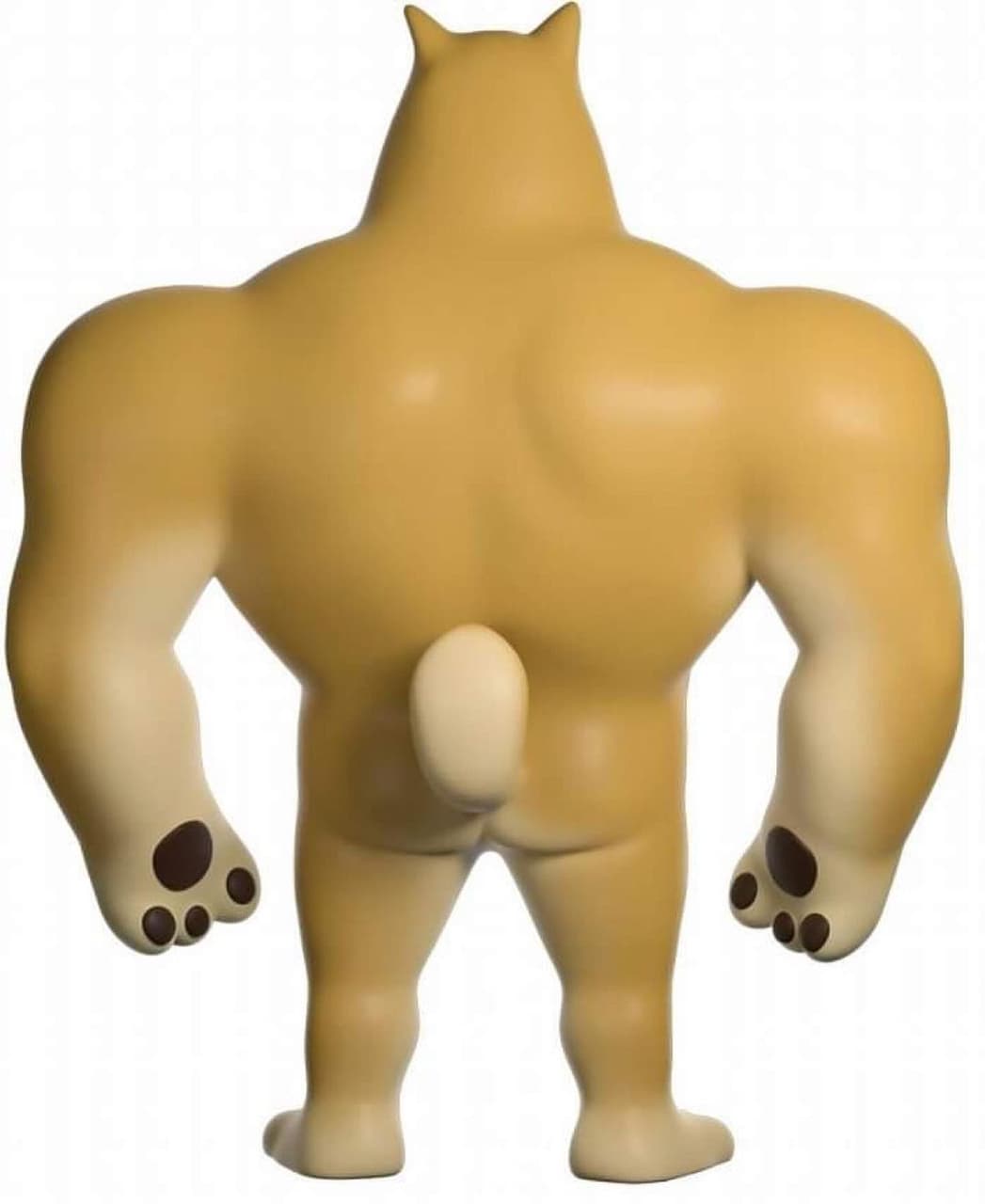 迷因柴犬實體化啦~~~ - 有趣板| Dcard