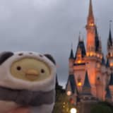 rururuu