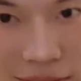 dogjj55688
