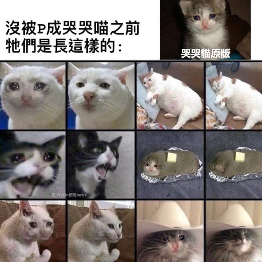 哭哭貓- 梗圖板| Dcard